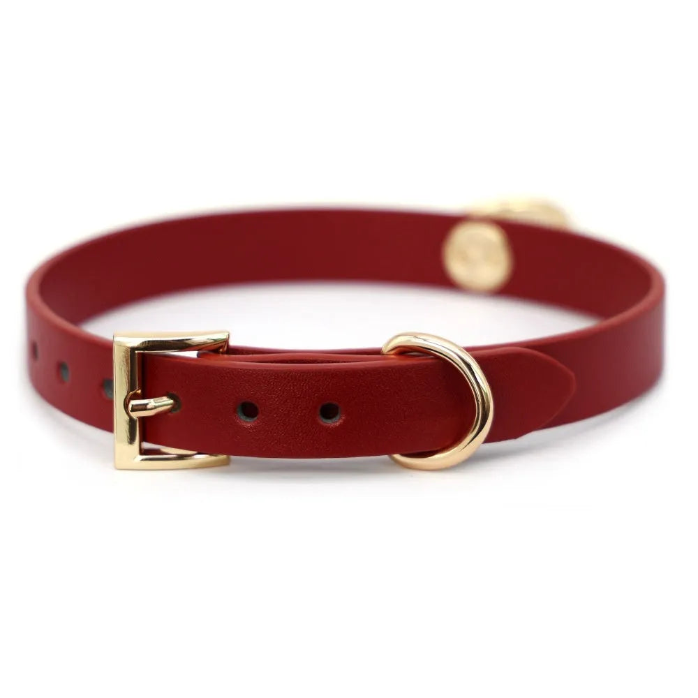 Genuine cowhide leather bondage collar with adjustable drag chain in black colour