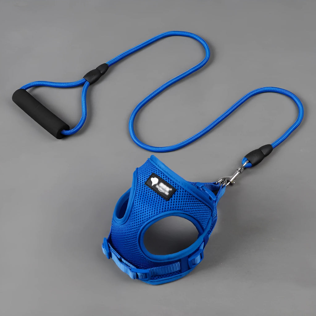 Blue round rope dog leash with a grey foam handle, shown adjusted for a medium-sized dog.