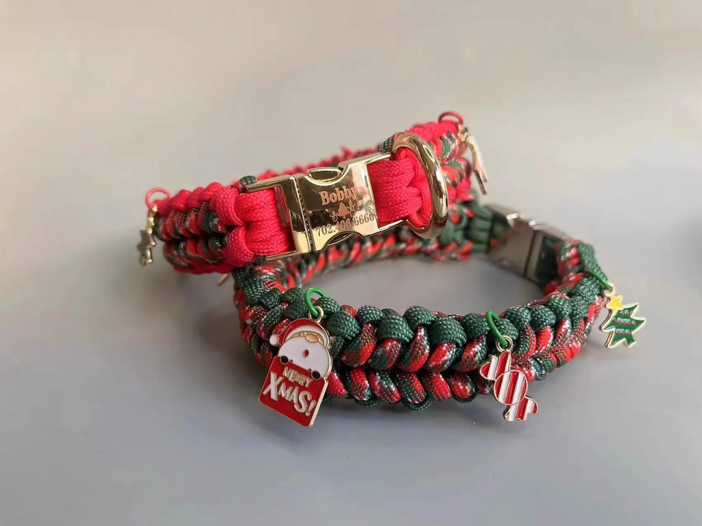 Green rope dog leash with P chain design and release buckle for medium to large dogs