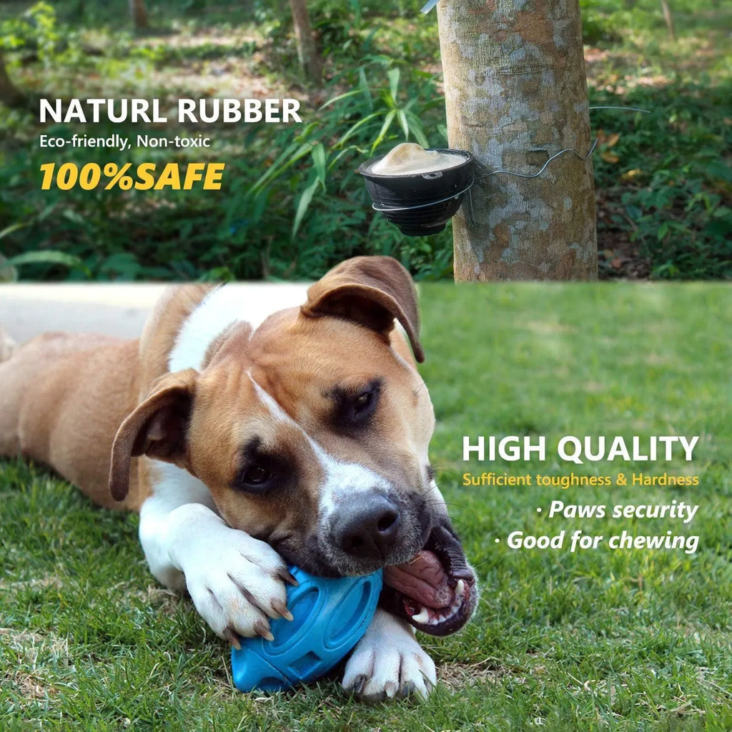 Natural rubber squeaky dog chew toy in blue, green and orange colours for medium and large breed dogs