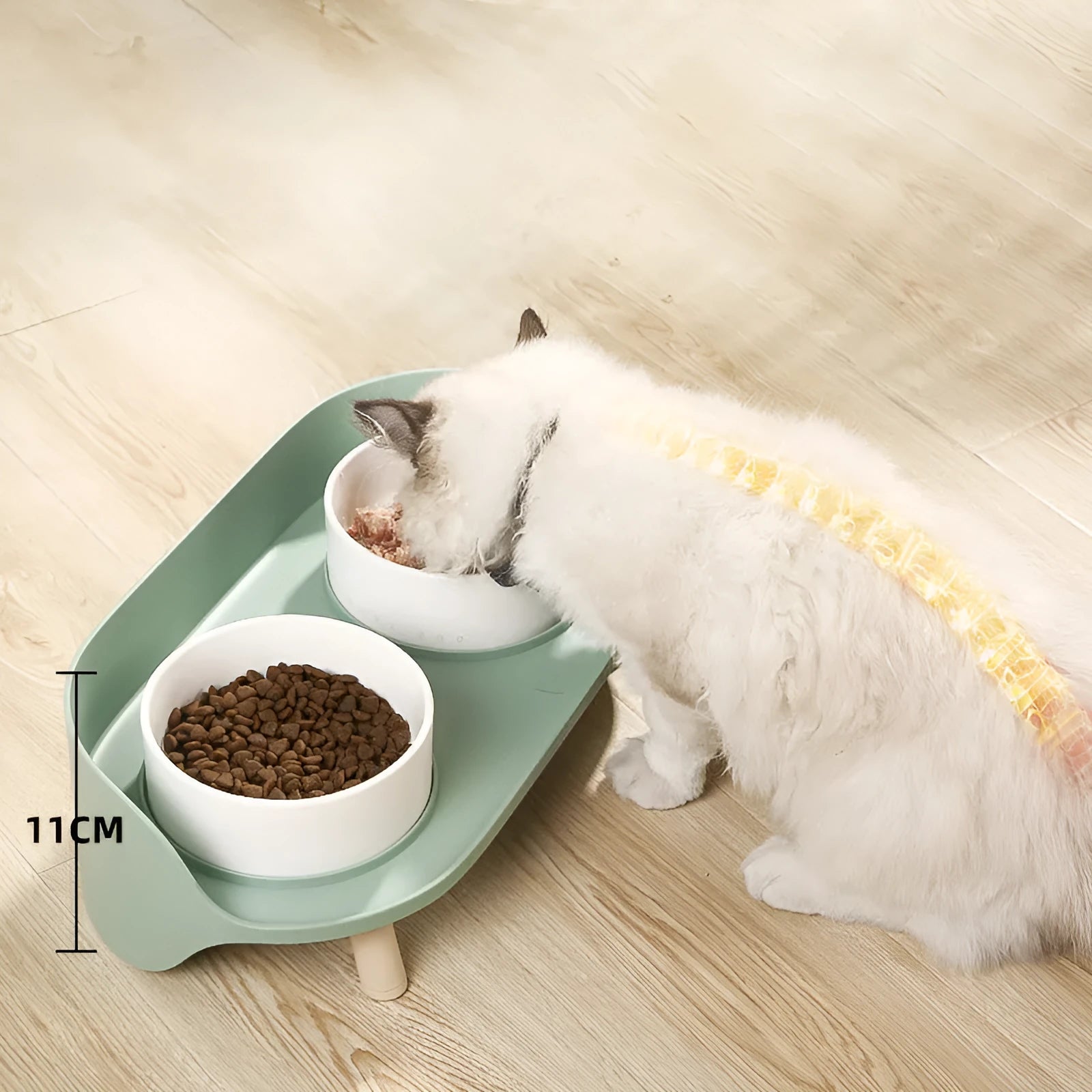 Green tilted pet feeding bowl with double compartments for food and water