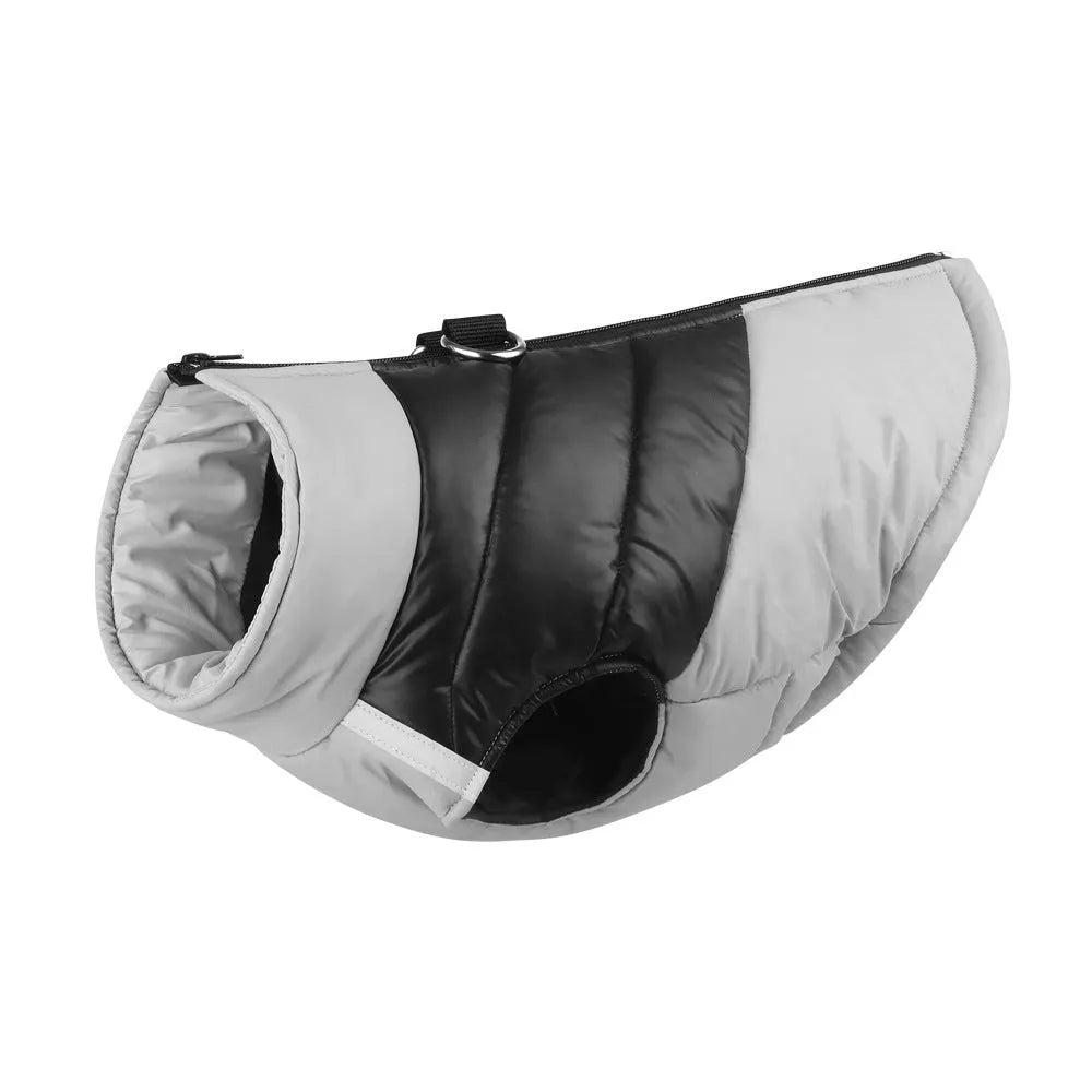 Waterproof padded dog winter jacket with front zip closure shown in multiple colours and sizes