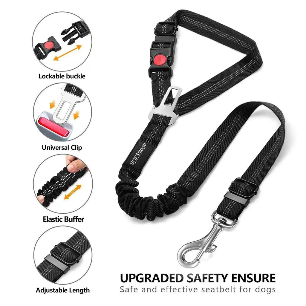 Nylon dog leash with metal buckle in various colours including Army Green, Black, Pink, and Orange