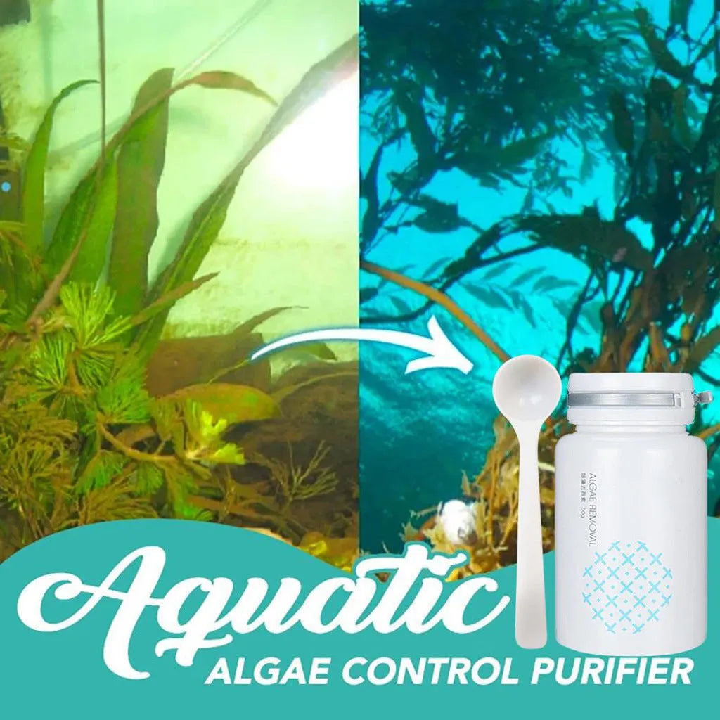 50g algaecide powder for swimming pool and aquarium algae control