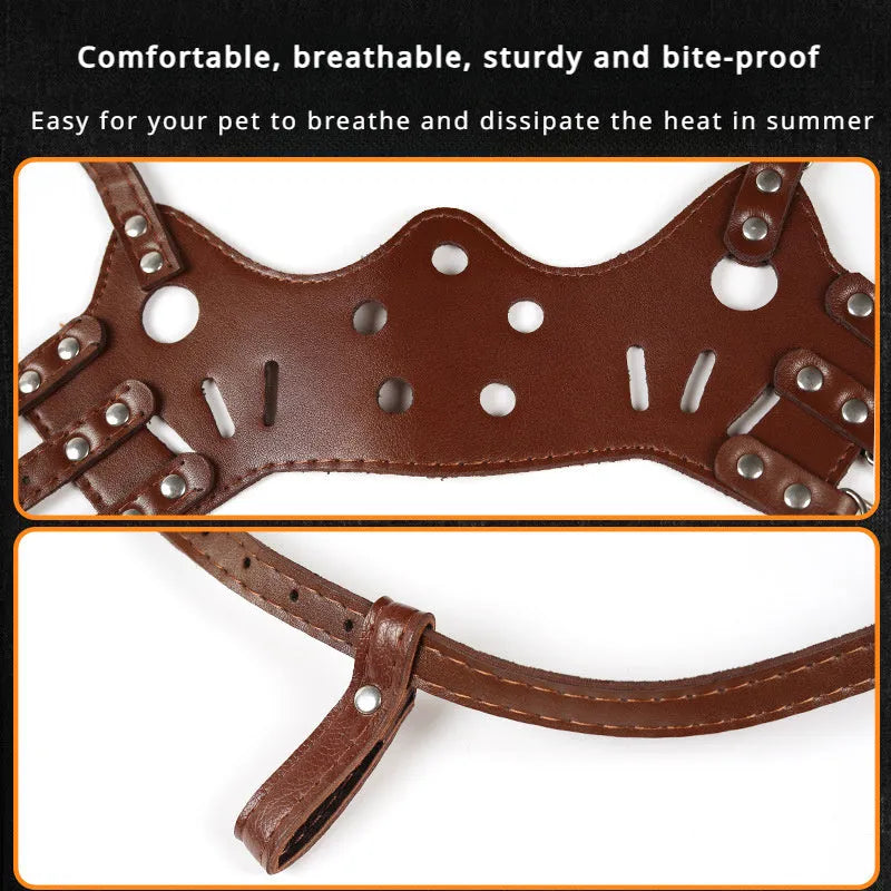 Black dog muzzle with silencer function for barking control and bite prevention on golden retriever