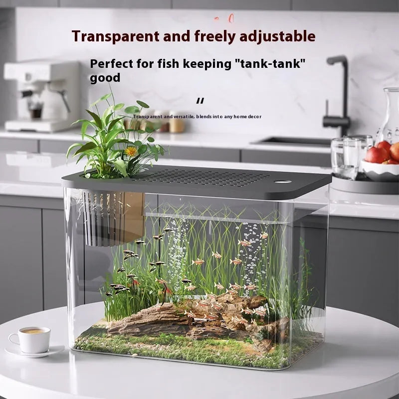 Small black plastic betta fish tank with lid, dimensions 32cm by 18.5cm by 23cm.