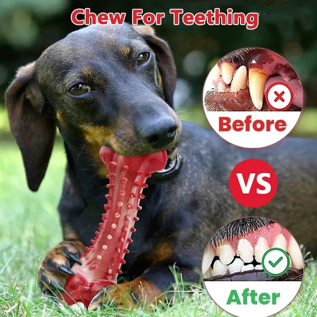 Red natural rubber chew toy for aggressive dogs, 15cm long heavy-duty durable dog chew