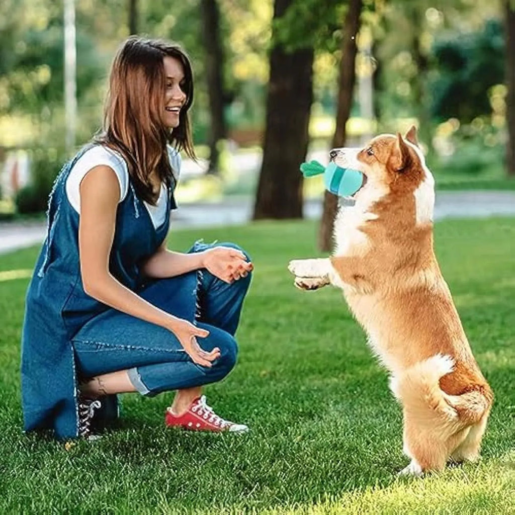 Blue interactive treat dispensing dog toy with tumbler ball design for medium large breeds