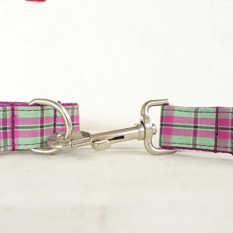 Mint green polyester dog collar and leash set with traction belt