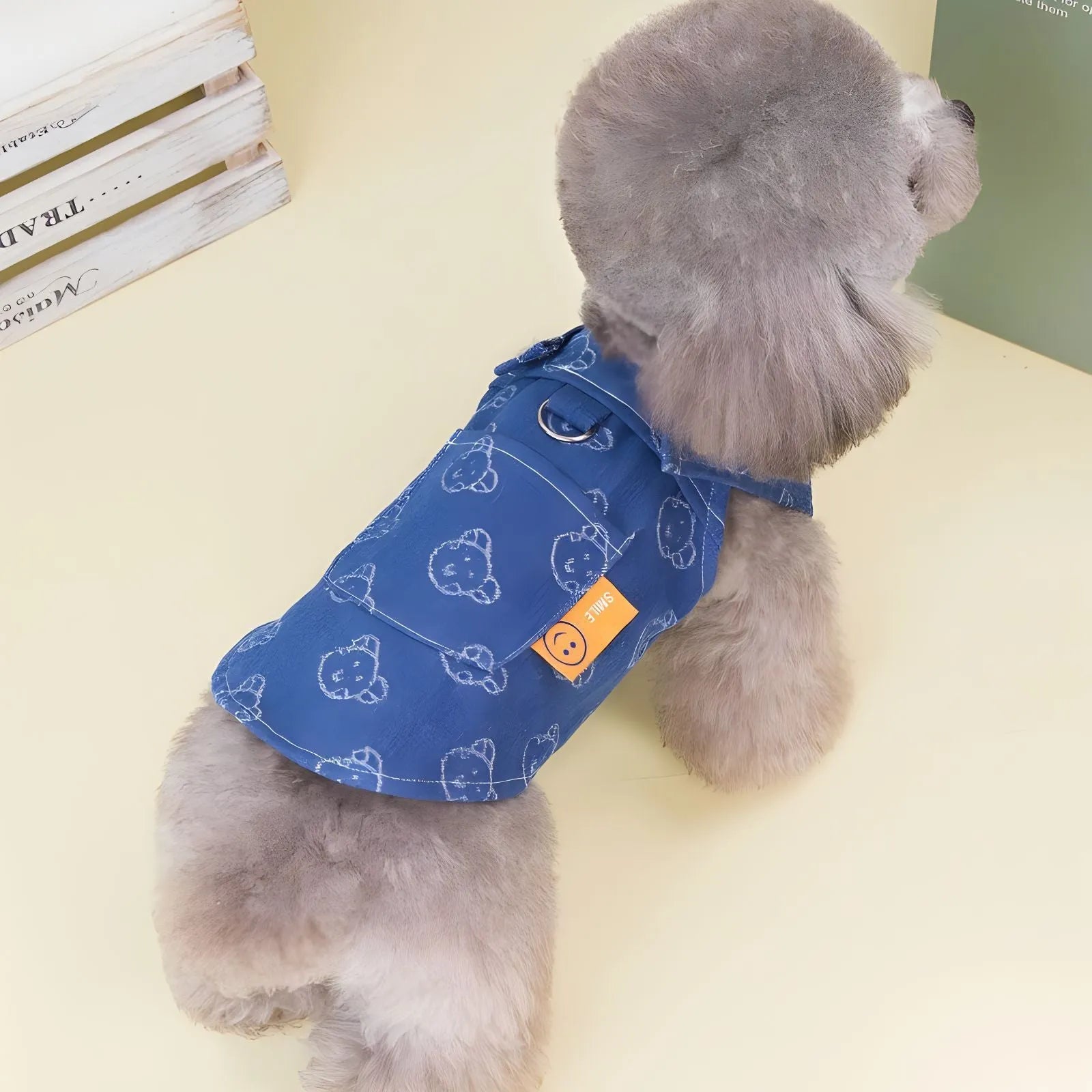 Denim princess dress for small dogs in bracket skirt style with spring autumn seasonal design