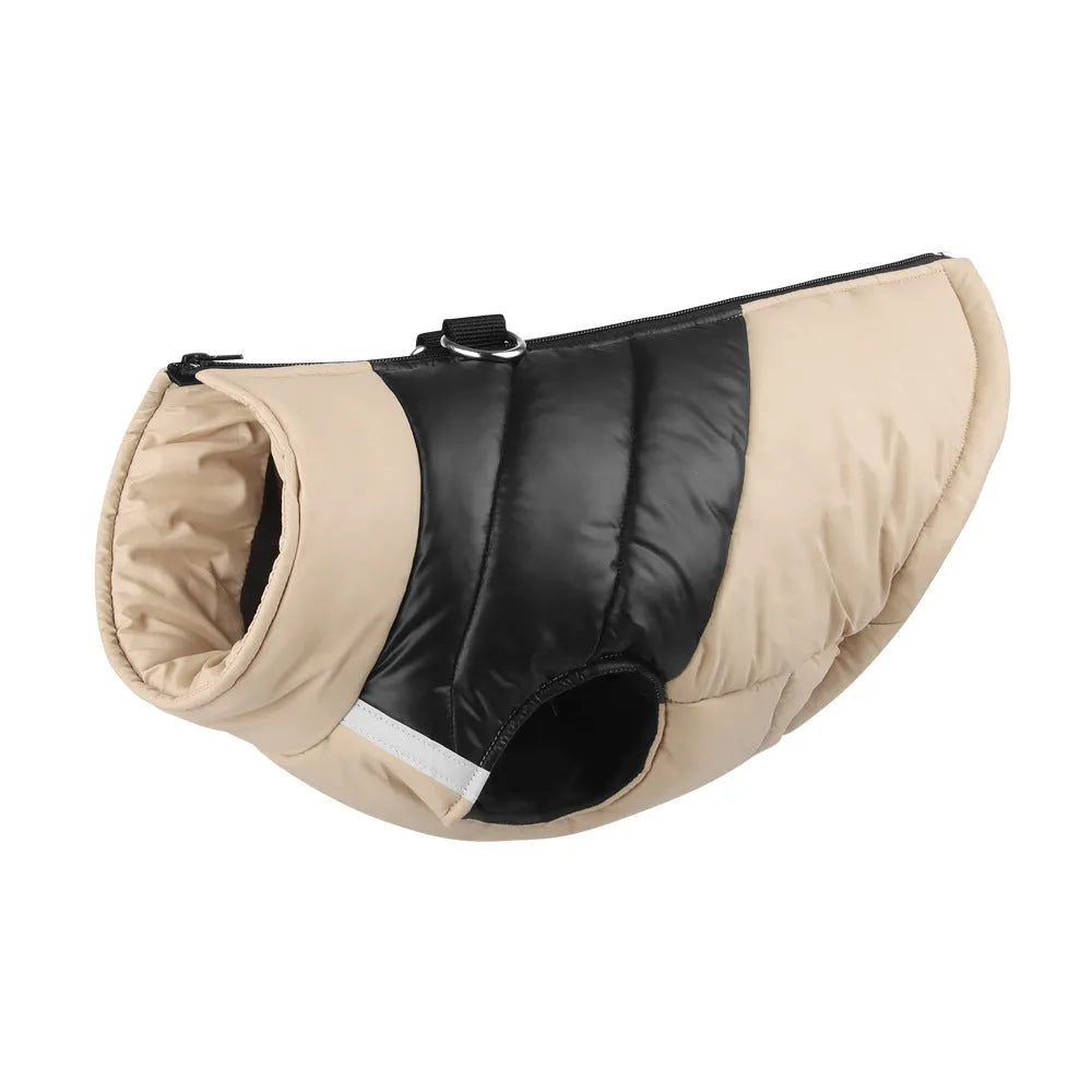 Waterproof padded dog winter jacket with front zip closure shown in multiple colours and sizes