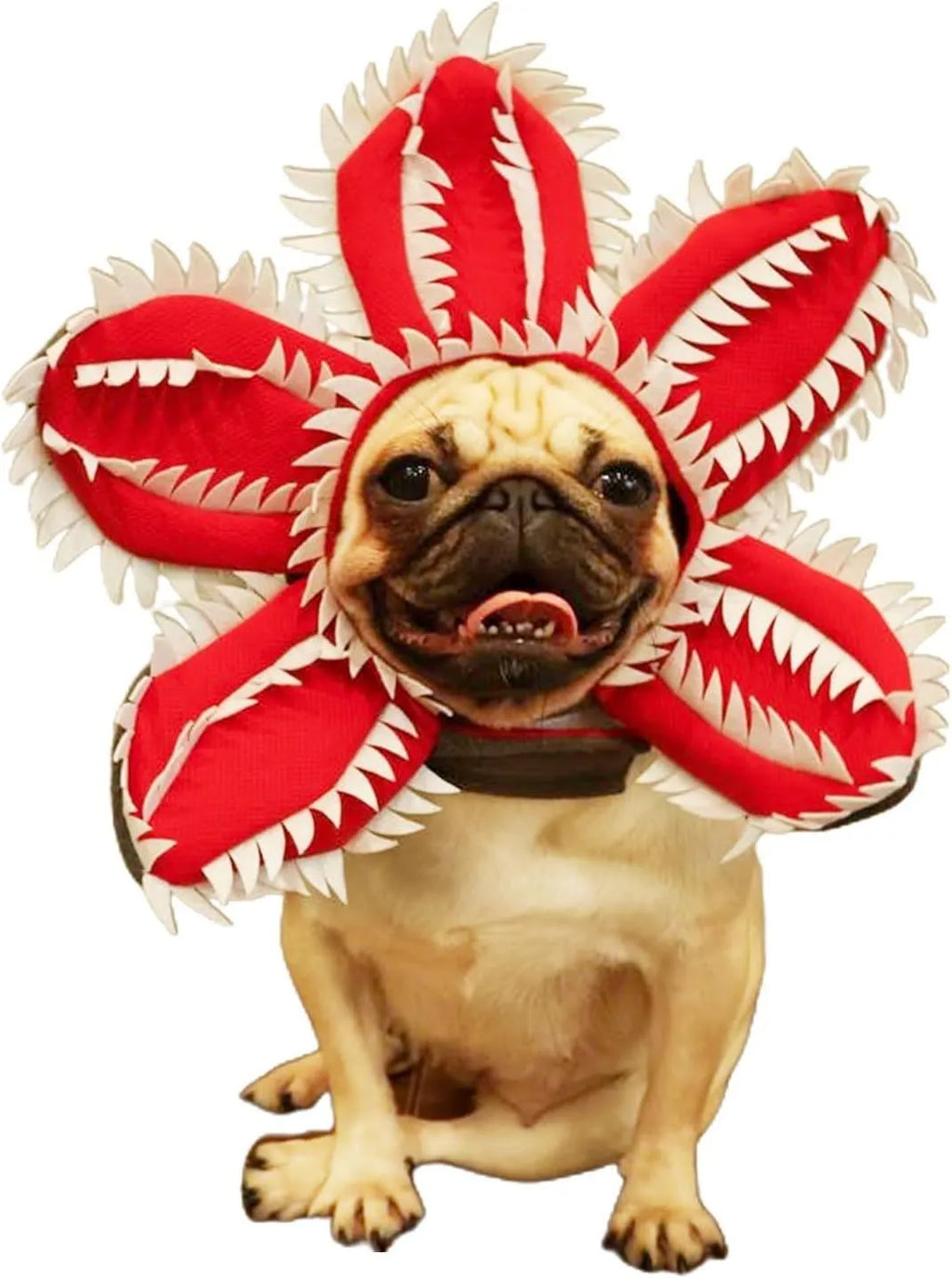 Dog wearing Halloween demon hat costume with open chomper mouth and flower headband accessory