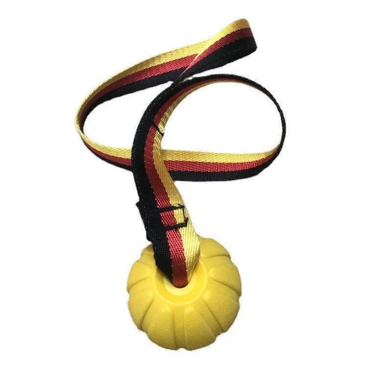 Yellow and camouflage coloured EVA floating dog tetherballs in different sizes on a blue background.