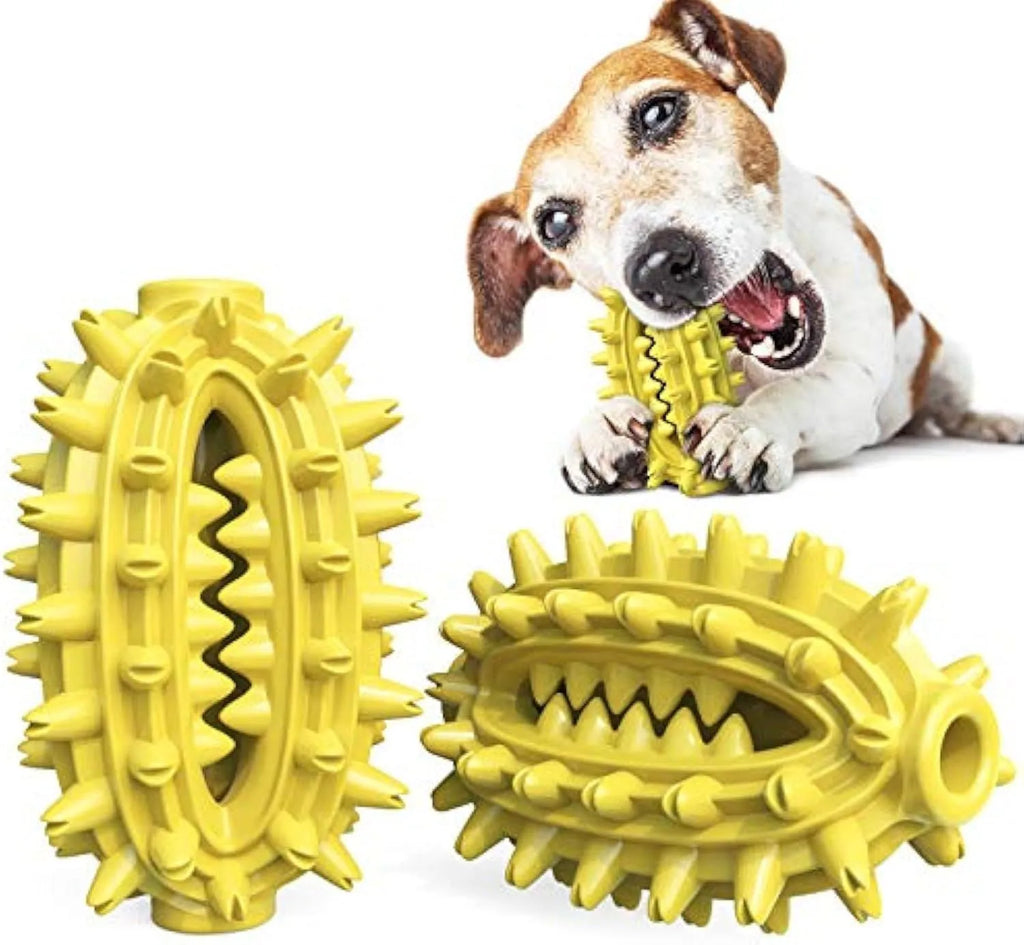 Green cactus-shaped dog chew toy for dental care, shown next to a dog treat.