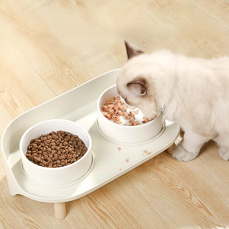Green tilted pet feeding bowl with double compartments for food and water