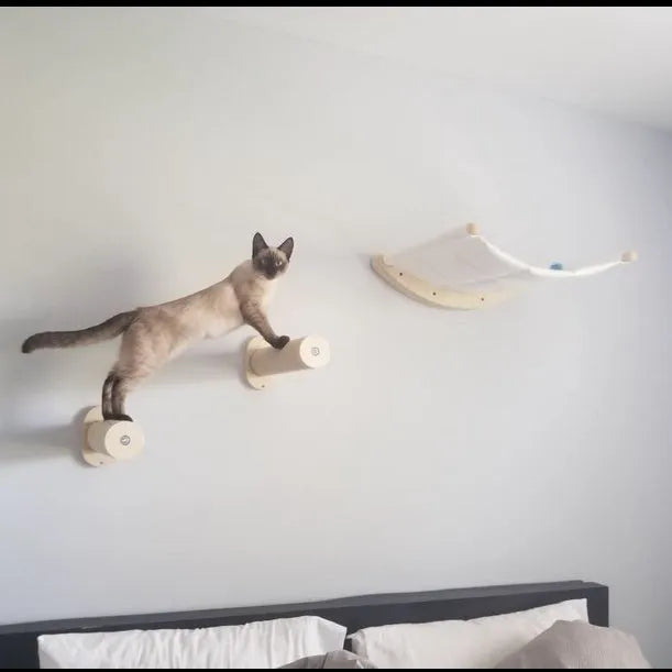 Solid wood cat wall hanging scratching post with climbing frame and hammock in natural wood colour