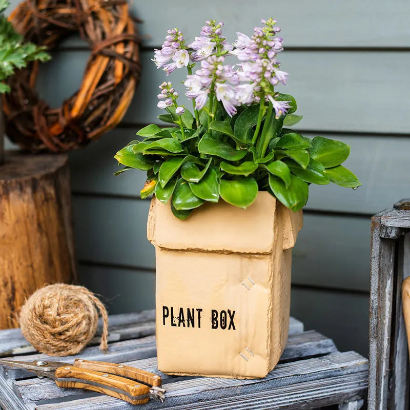 Cement brown paper box style flowerpot with bottom drainage holes for indoor plants