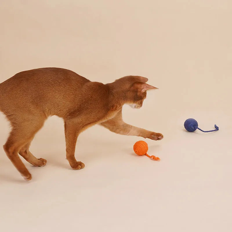 Bite-resistant cat toy set with teaser stick and catnip balls measuring 255mm