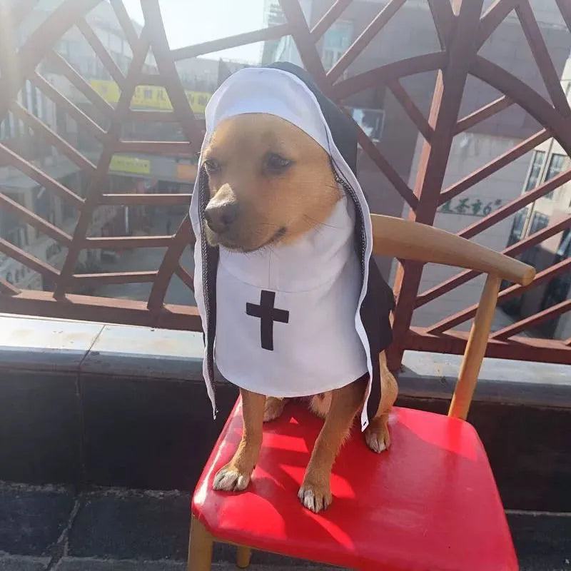 Black and white nun cloak costume on a small dog for Halloween.