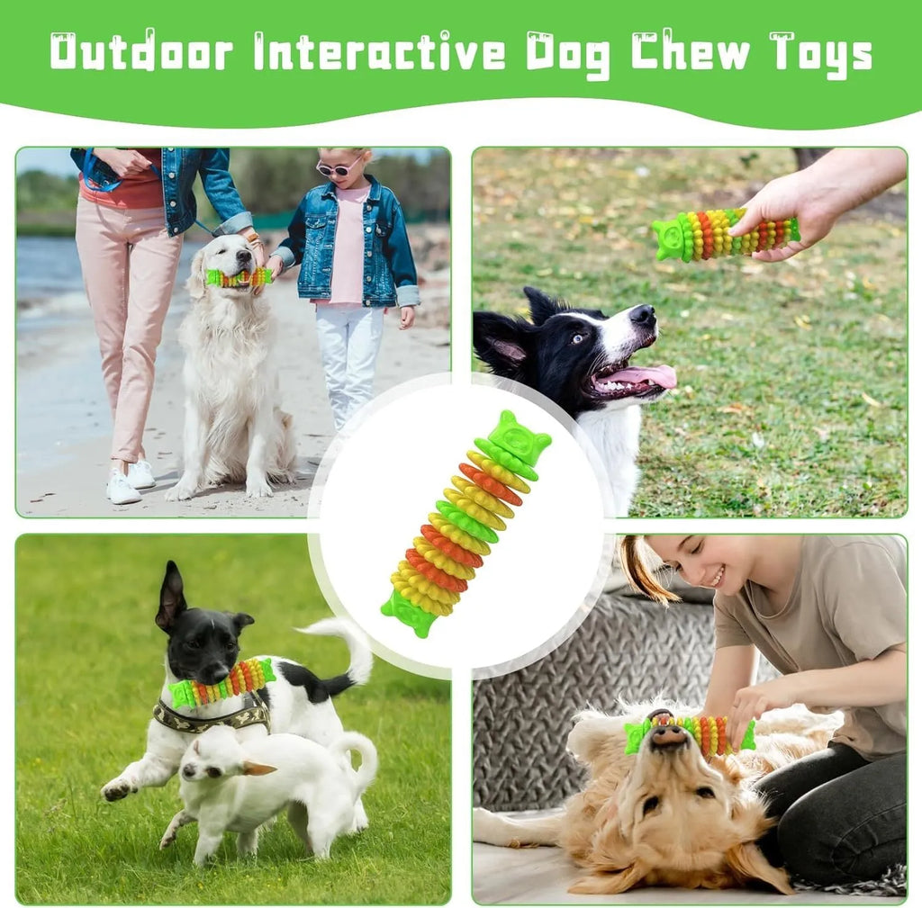 Blue natural rubber caterpillar-shaped dog chew toy showing textured surface and size.