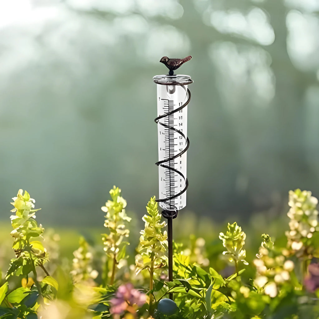 Cast iron outdoor rain gauge with hummingbird decoration and glass measurement tube showing 0-800ml scale.