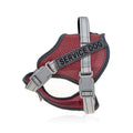 Colourful reflective pet harness showing anti-strangulation neck protection design on a dog