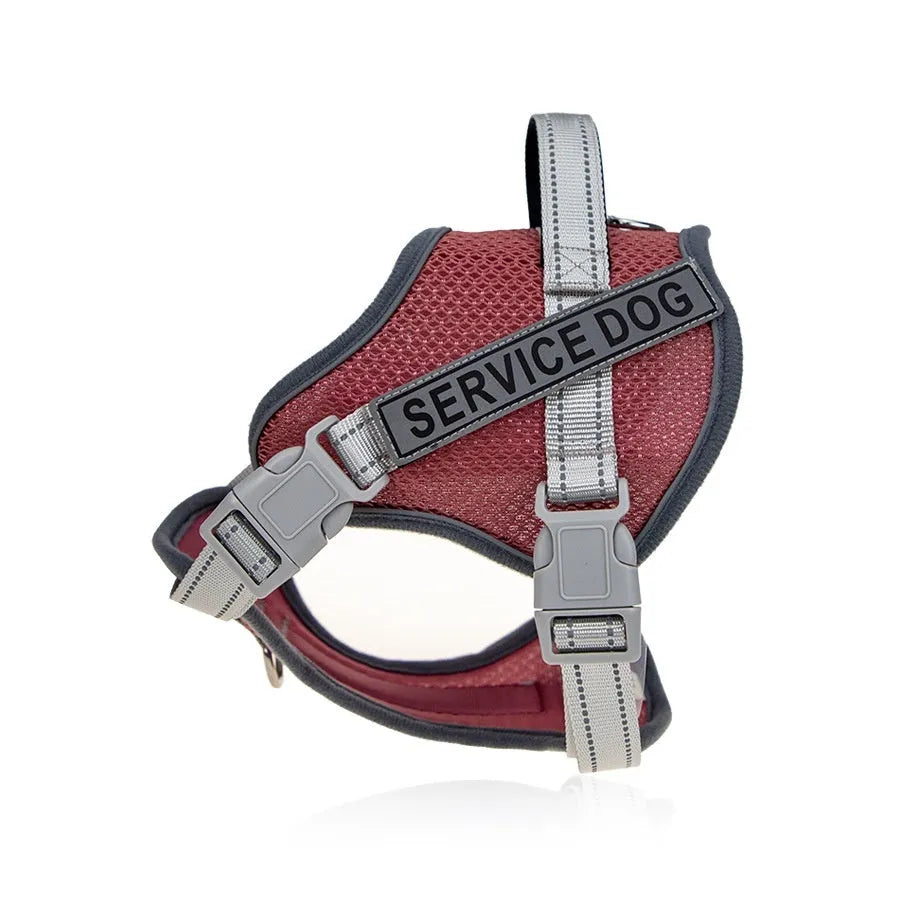 Colourful reflective pet harness showing anti-strangulation neck protection design on a dog