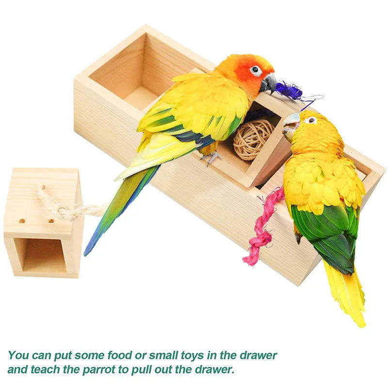Wooden parrot puzzle training toy set shown in 3-piece, 6-piece, and 8-piece suit options for bird enrichment.