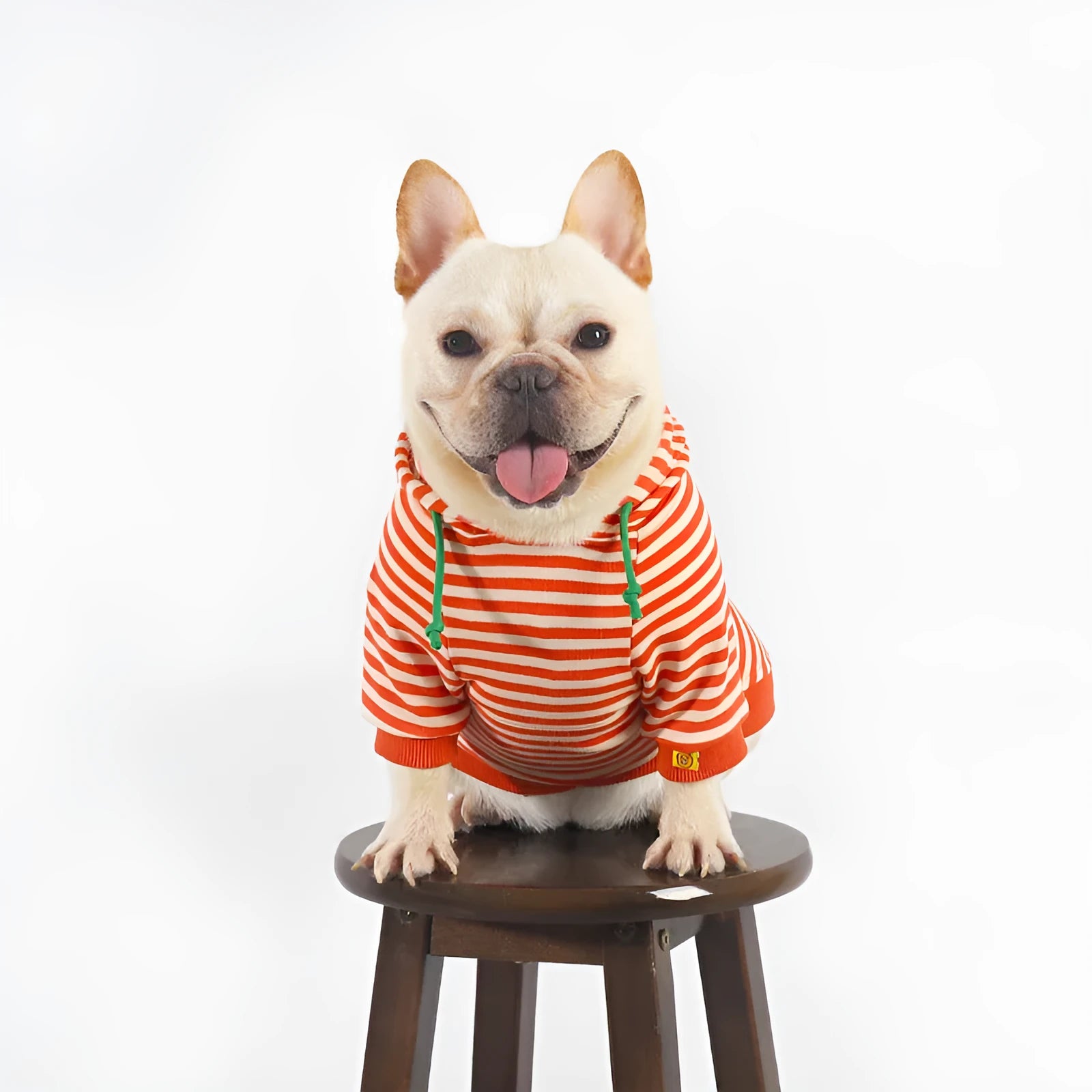 Orange cotton hooded sweater for dogs with Japanese style design