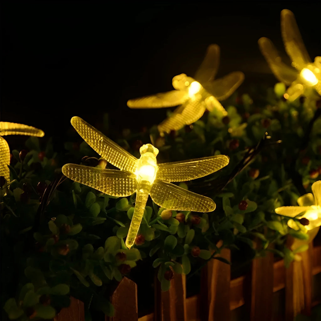 5 metre long solar-powered LED string lights with 30 warm white bulbs, shown with a solar panel on a spike for garden decoration.