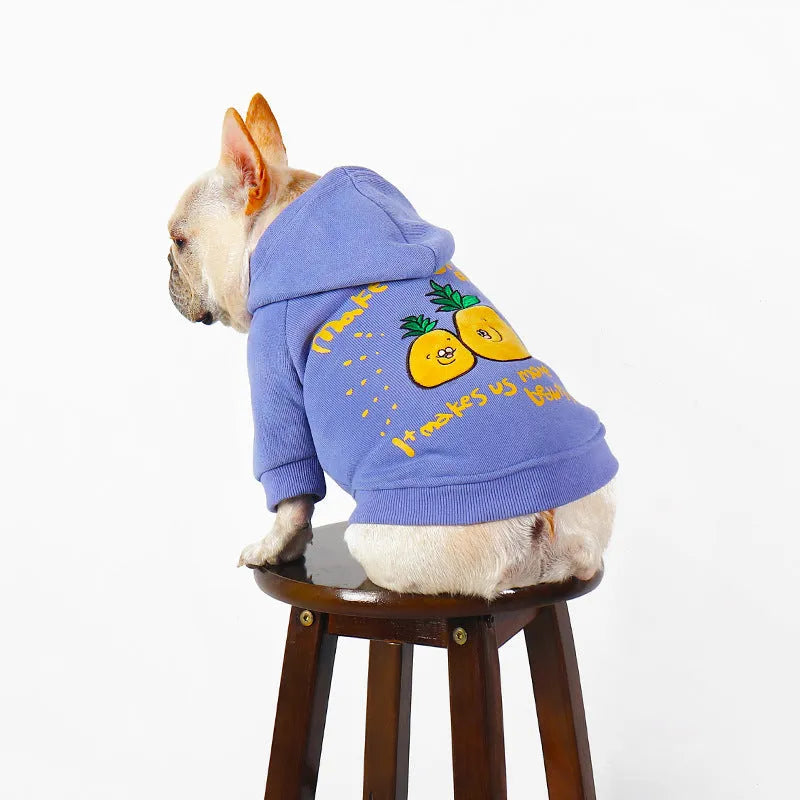 Blue and purple cartoon print cotton plush dog hoodie for winter wear.