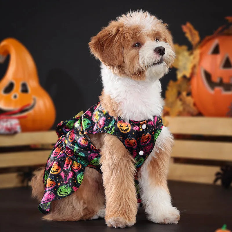 Dog wearing orange angel wings Halloween costume with bright pumpkin colour option