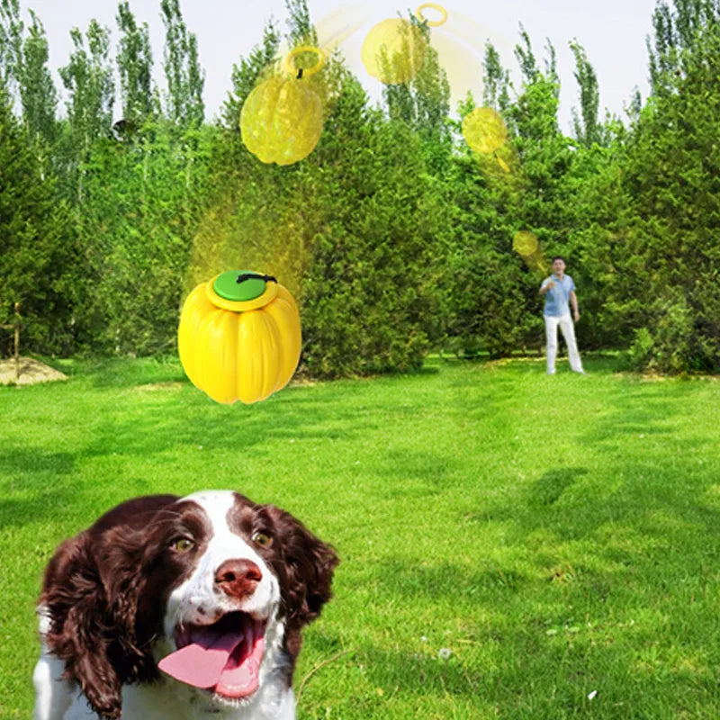 Pumpkin-shaped plastic dog chew toy with squeaker for small dogs in green, orange, yellow