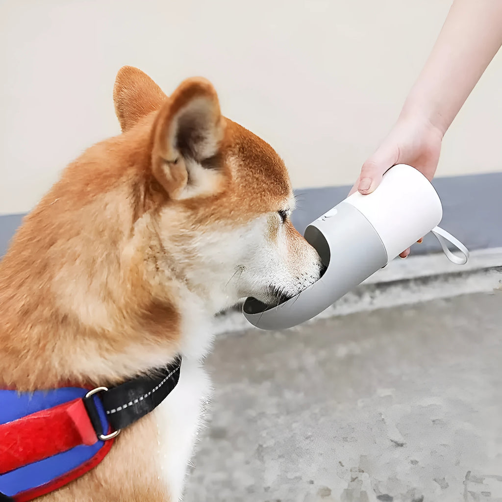 MOESTAR ROCKET portable pet water cup in white grey colour with 270ml capacity and one-button lock