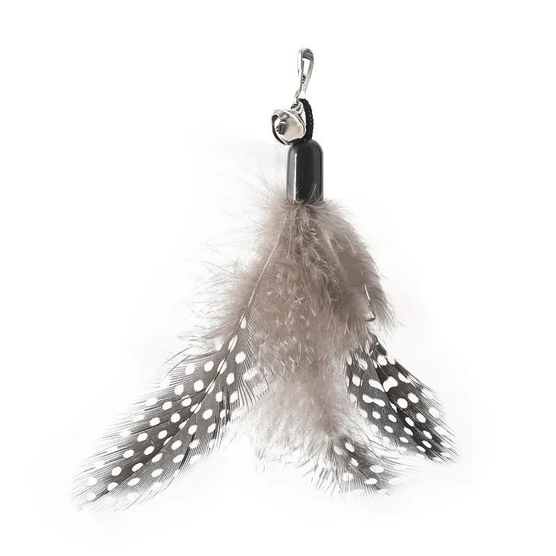 Wooden handle cat teasing stick with attached feather bell toy and three spare replacement heads.