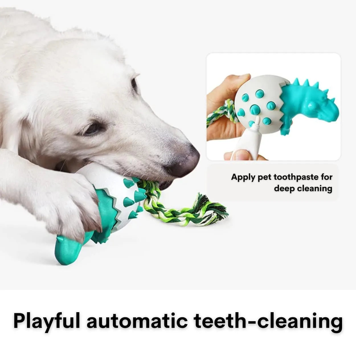 Blue durable dinosaur-shaped dog chew toy with textured surface and attached rope for tug of war.