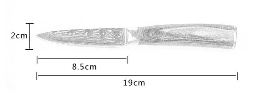 Professional 7Cr17 stainless steel kitchen knife with laser Damascus pattern and coloured wood handle