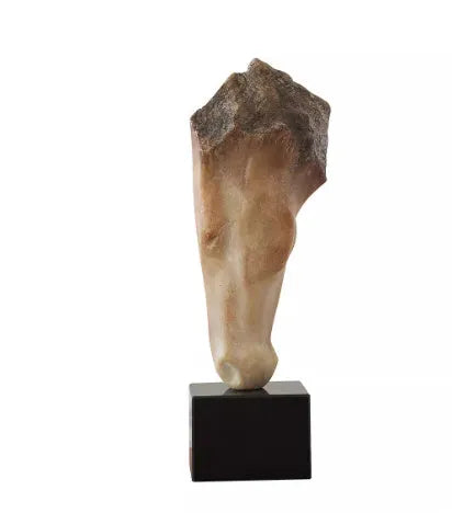 French retro abstract carved horse head desktop sculpture ornament measuring 50cm tall.