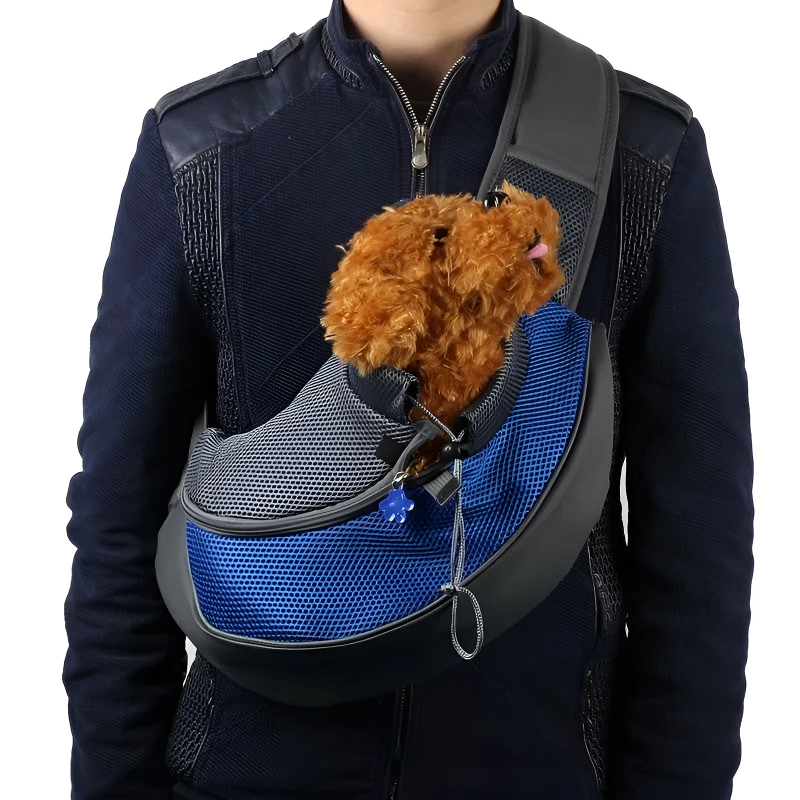 Blue padded pet backpack for a small dog, showing backpack straps and mesh ventilation panel.