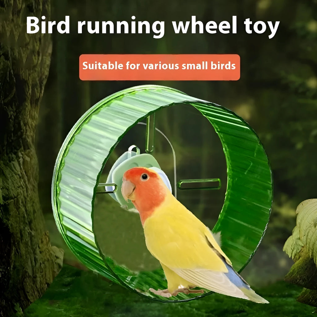 21 cm transparent plastic parrot running wheel exercise toy on a white background