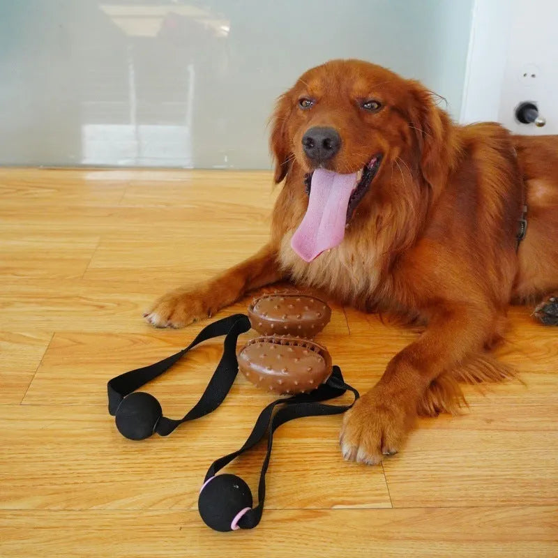 Coffee bean shaped TPR rubber dog chew toy with knotted rope centre in brown colour