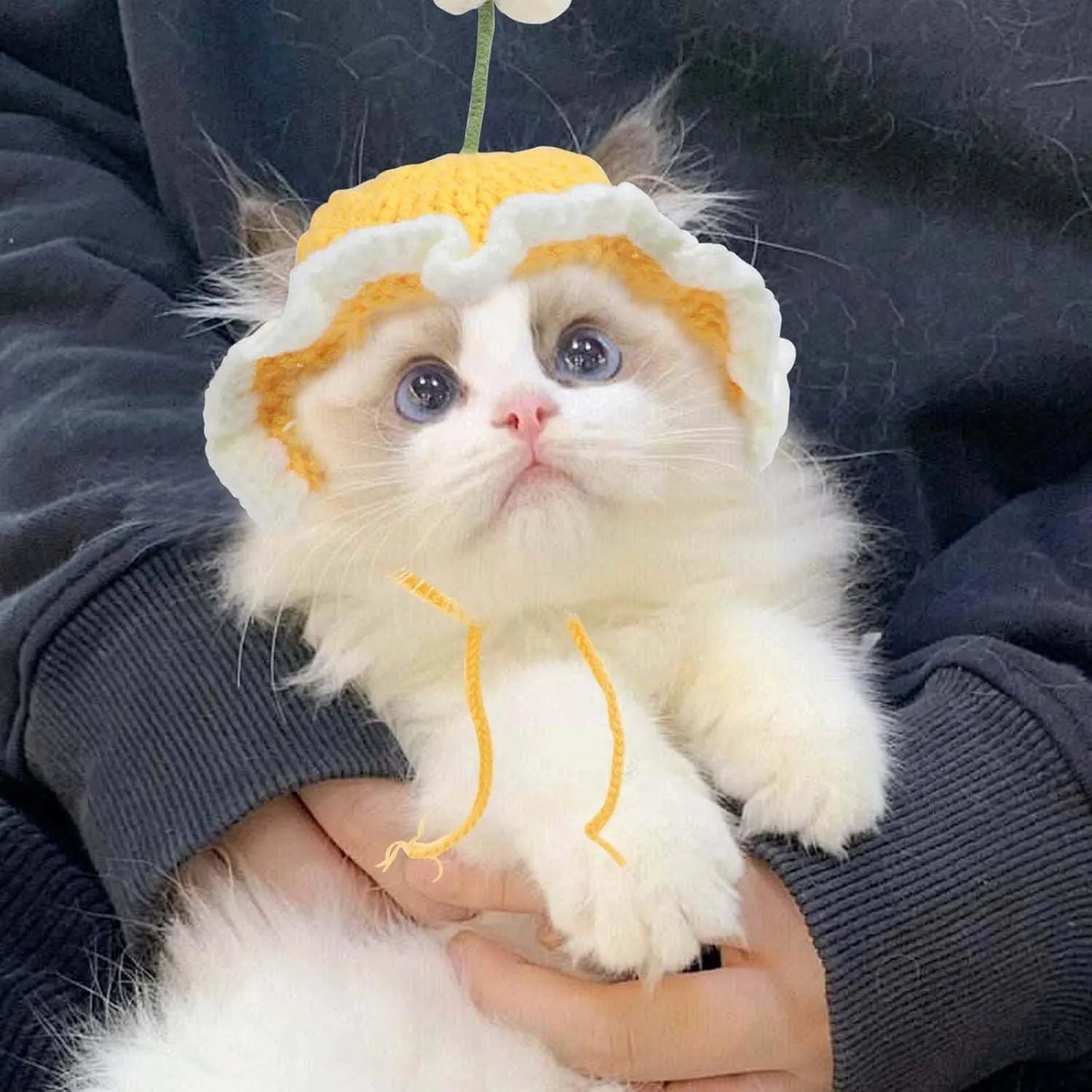 Knitted cartoon-style hat for a cat or small dog on a green background