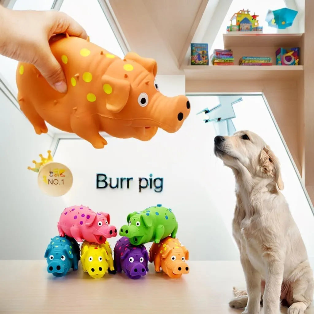 Pig-shaped latex dog chew toy in assorted colours with textured surface for teeth cleaning