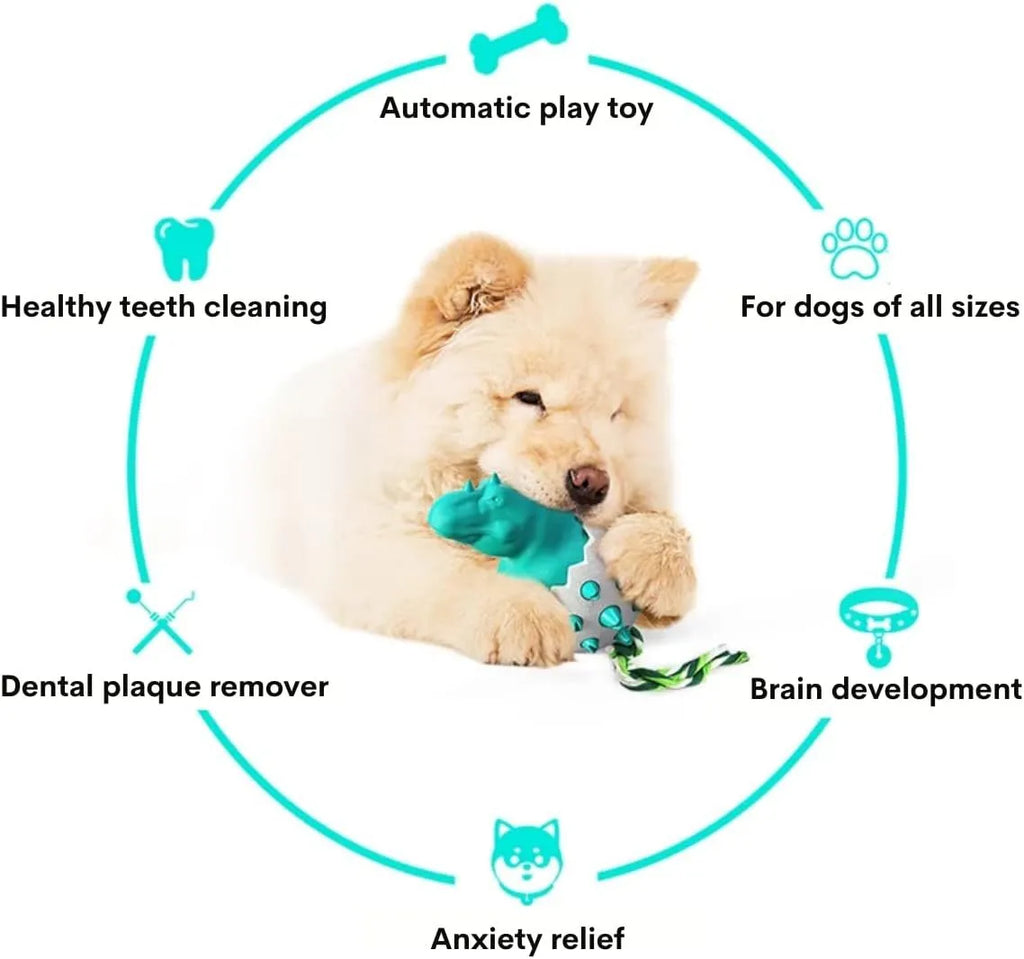 Blue durable dinosaur-shaped dog chew toy with textured surface and attached rope for tug of war.