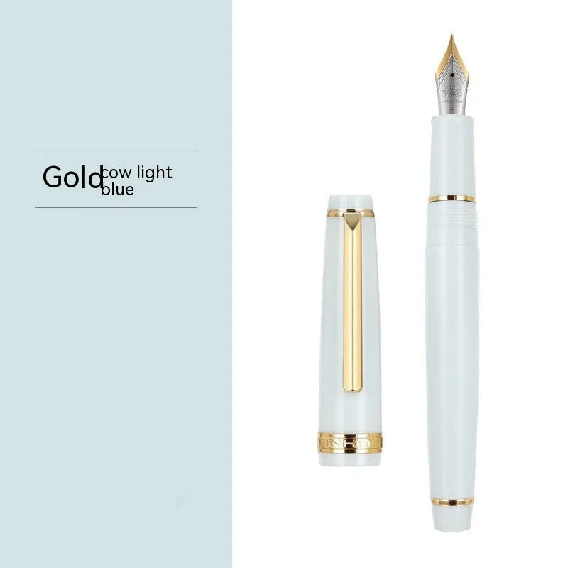 Resin business pen with stainless steel nib shown in a selection of colour and clip finish options.