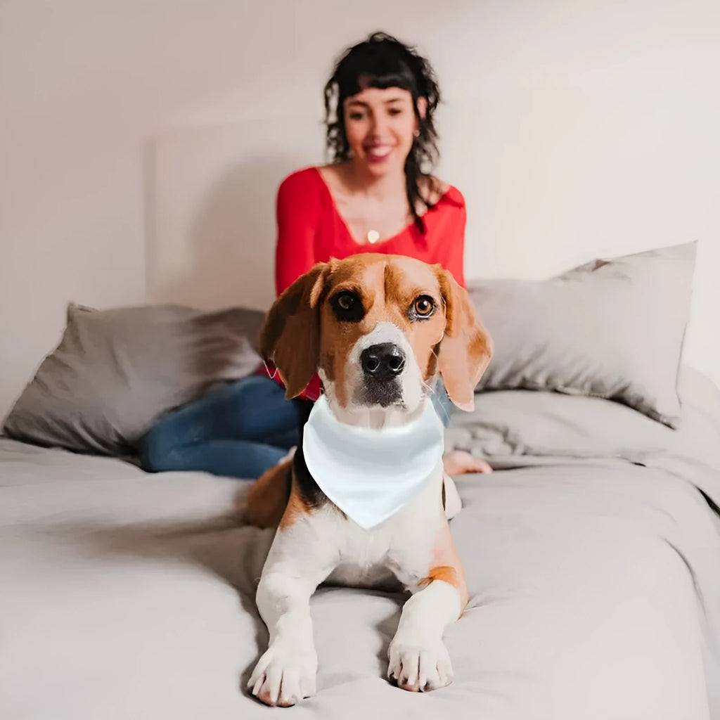 White polyester dog scarf for thermal transfer customisation in S, M, L, and XL sizes