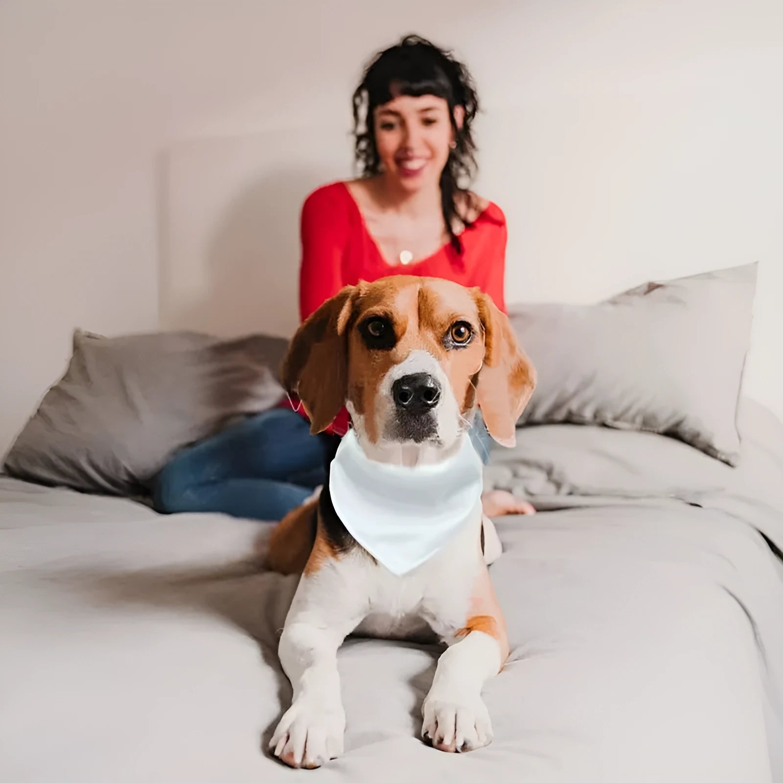White polyester dog scarf for thermal transfer customisation in S, M, L, and XL sizes