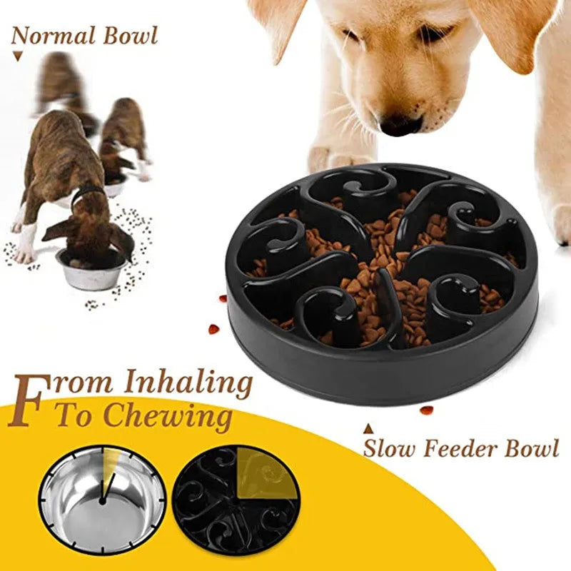 A coloured slow feeder dog bowl with a maze pattern design and a wide non-slip base.