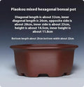 Square purple clay succulent bonsai pot in classical style on tabletop