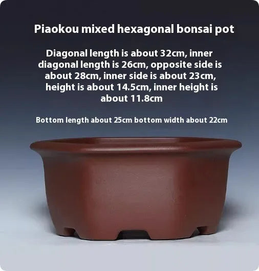 Square purple clay succulent bonsai pot in classical style on tabletop